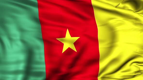Cameroon Flag alt