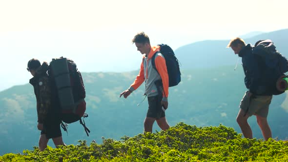 Three Male Tourists with Backpacks Hike on Mountain alt