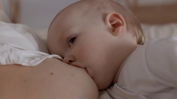 Baby Boy Drinking Milk From Mother Breast