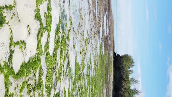Vertical Video of Low Tide in the Ocean Near the Coast of Zanzibar Tanzania Aerial View alt