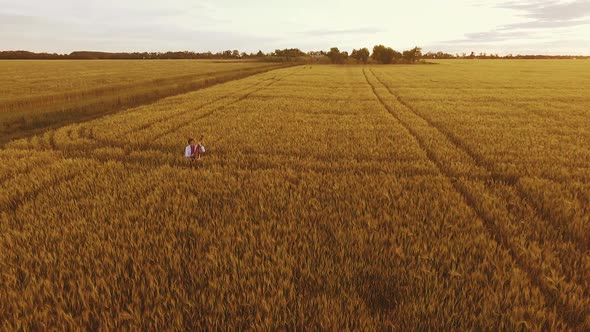 Aerial of Bandurist Kobzar in Vyshyvanka Playing in Beautiful Wheat Field Grainfield at Dusk with