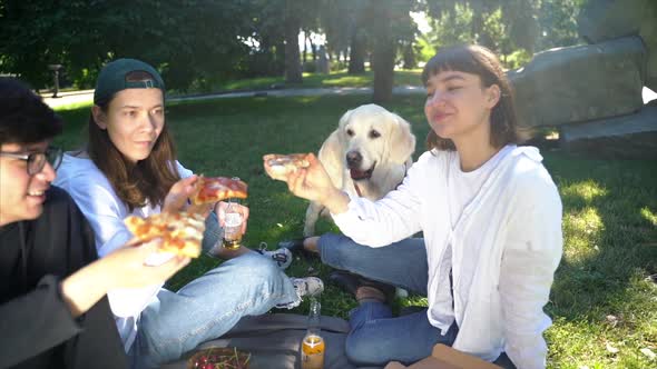 Company of Beautiful Young People and Dog Having an Outdoor Lunch alt