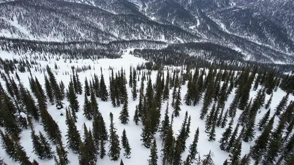 Dark Mountain Ranges in Winter alt