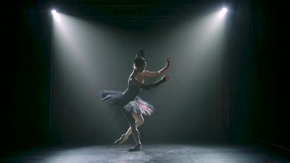 Silhouette of a Graceful Ballerina in a Chic Image of a Black Swan. Classical Ballet Choreography alt
