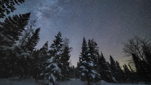 Milky Way Over Coniferous Trees at Winter Night. Taganay, Southern Urals, Russia alt