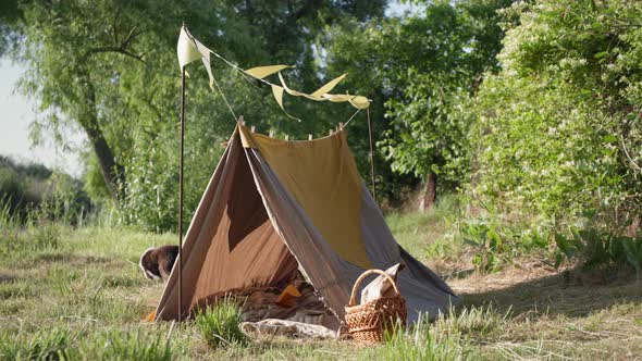 Active Games for Children Happy Brothers are Having Fun Running Around Tent on Green Lawn During alt