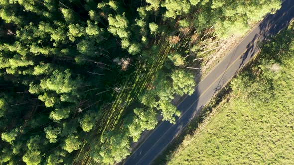Rural landscape at countryside scenery. Rural life scene. alt