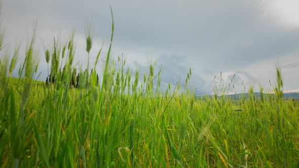 Time Lapse of the amazing rolling hills of Tuscany Italy alt