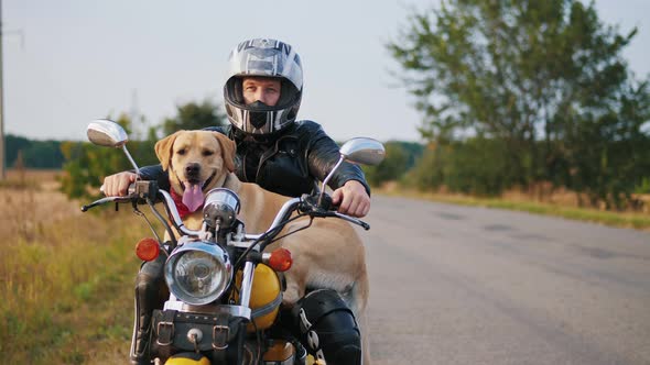 Riding a Motorcycle with a Dog alt