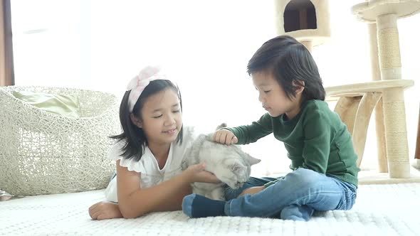 Cute Asian Childrenplaying American Shorthair Cats At Home  alt