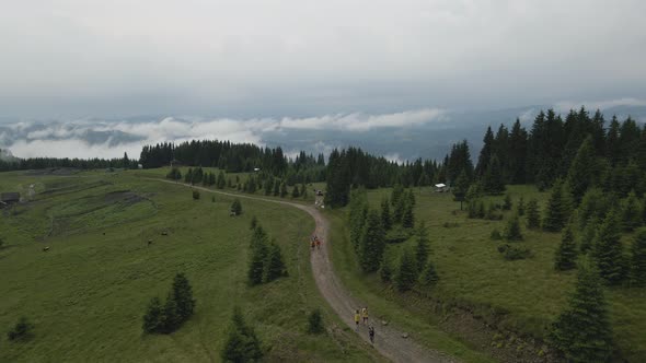 A group of young hikers hiking up beautiful mountain road in the amazing Carpathian Mountains, Ukrai alt