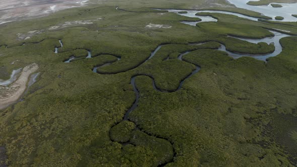 Breathtaking Nature Scenery of Rivers with Green Grasslands in Baja California Sur in Mexico - Aeria alt