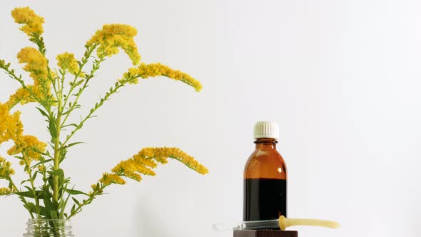 Medicinal Oil On Herbs, Medicinal Field Flowers On An Isolated White Background. Homeopathy Herbal