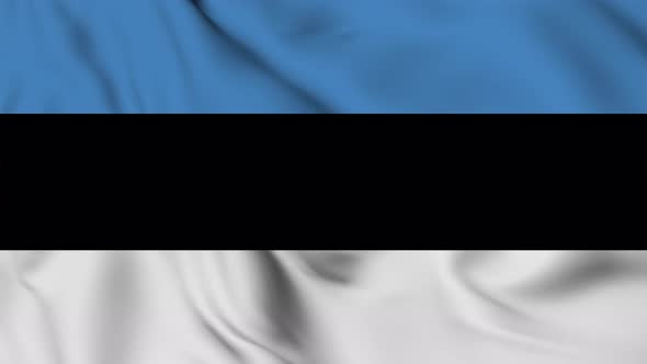 Estonia flag seamless closeup waving animation