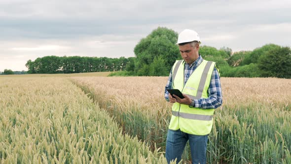 Farmer Man Working on Farm with Digital Tablet in Agriculture Technology of Modern Agriculture