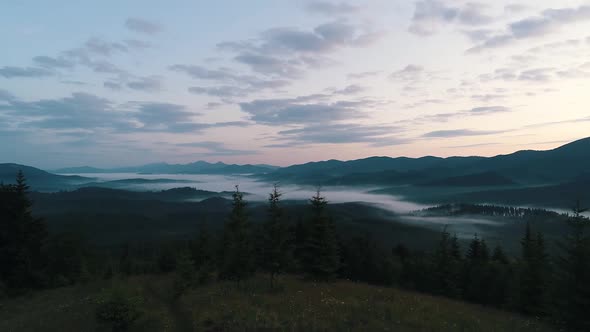 Fog Over the Mountain Forest