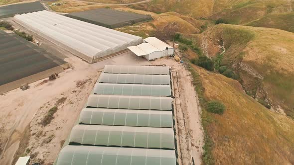 Aerial footage of large greenhouse farm in the Jordan vally in Israel alt