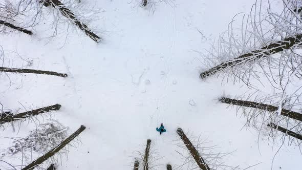 Top Shot View. Man with blue jacket in the winter mountain forest among the huge pine trees.  alt