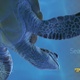 Sea Turtle 9 - VideoHive Item for Sale