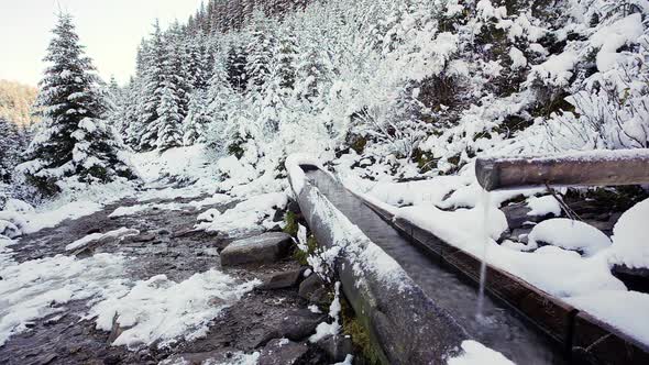 Water flowing from the source (spring) made from wood in mountainous forest in Carpathian mountains alt