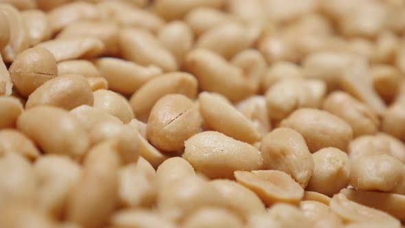 Fresh snack Arachis hypogaea   close-up slow tilting food background 4K 2160p UltraHD video - Popula alt