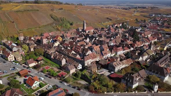 Flight Over of Autumn Riquewihr Vineyards, Alsace, France alt