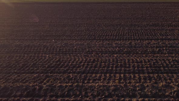 Slow shot with a drone from a plowed field to a green field at sunset