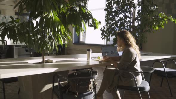 Woman at Laptop on Workplace in Modern Office