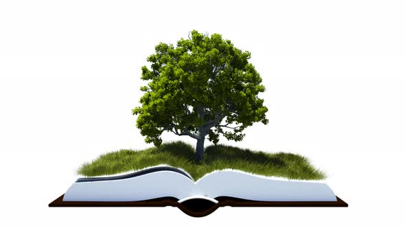 Open Book With Green Grass Field And Tree