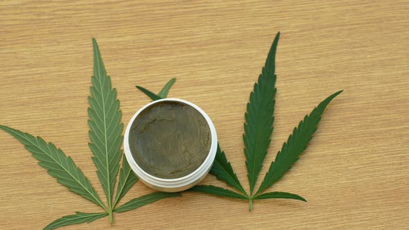 Cream Medicinal Cannabis Hemp and Leaf Cannabidiol CBD Harvested Dried of Seeds Quality