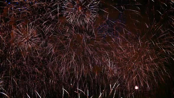 Colorful Firework display at night on sky background alt