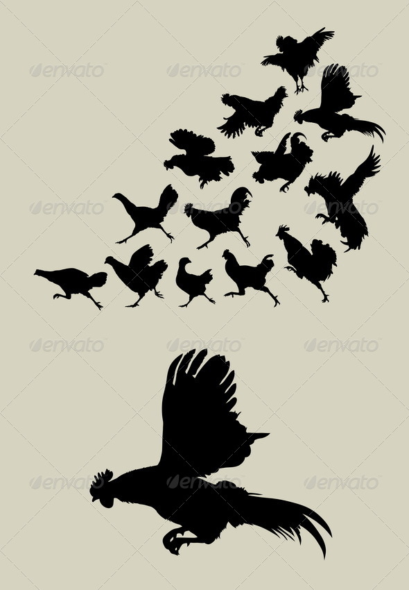 Chicken or Rooster Running Silhouettes - Animals Characters