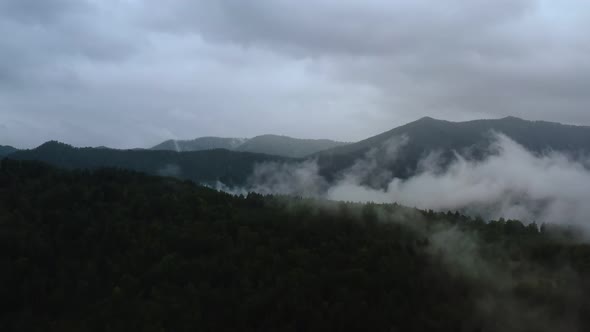 mountains and forest in the clouds view from above alt