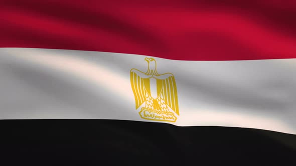 Egypt Windy Flag Background 4K alt