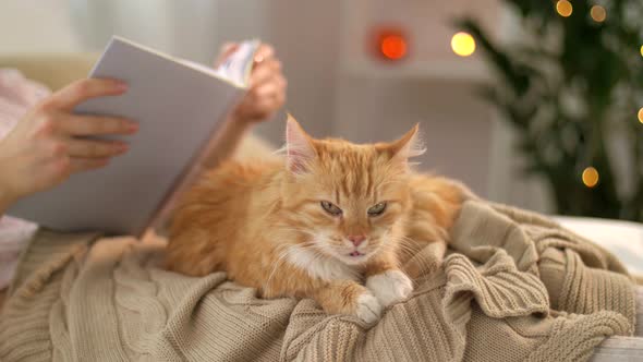 Red Tabby Cat and Woman Reading Book at Home 6 alt