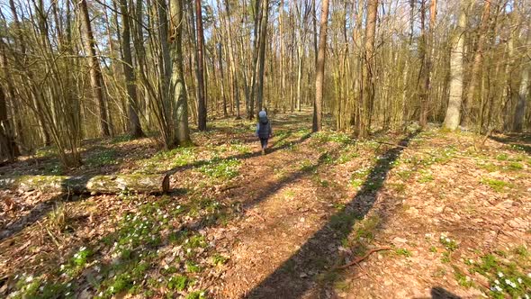 Young Boy Walking Through Spring Forest alt