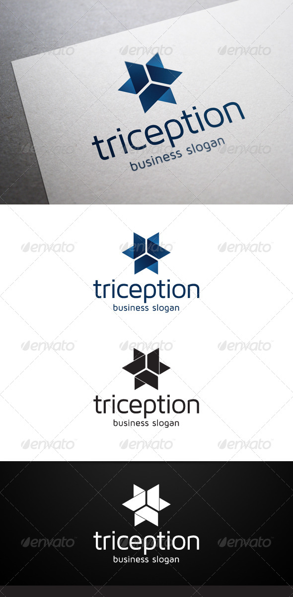 Triception Logo - Abstract Logo Templates
