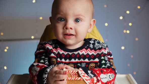 Portrait of Cute Little Baby Boy Wearing Christmas Sweater alt