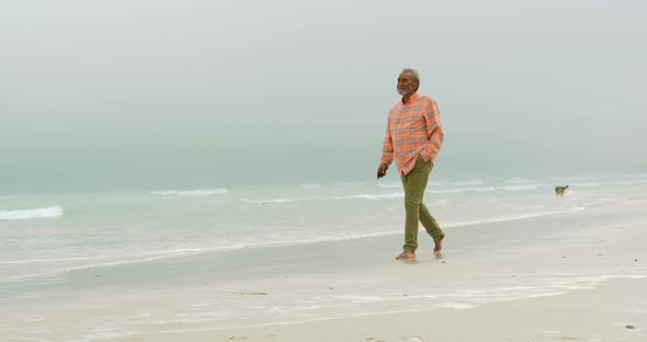 Side view of active senior African American man with hand in pocket walking on the beach 4k alt