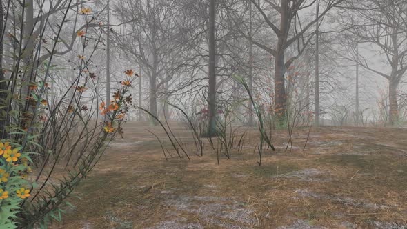 3d scary forest scene intro alt