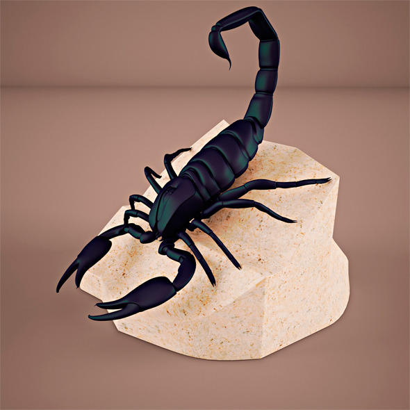 Scorpion - 3Docean 5060871