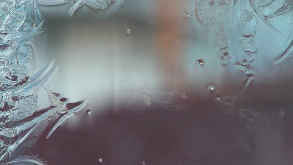 Blizzard Outside the Window alt