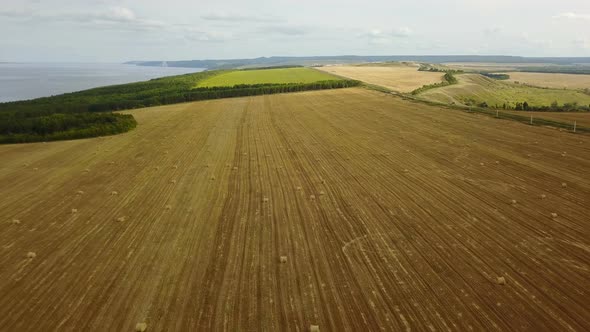 Field With Haystack