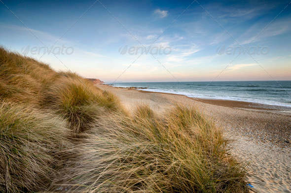 Sand Dunes at Hengistbury Head - Stock Photo - Images