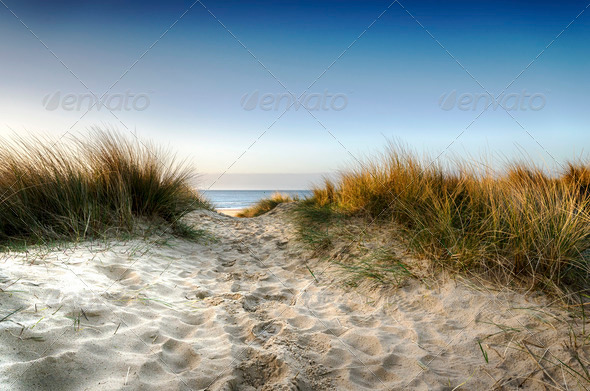 Path through the Dunes - Stock Photo - Images