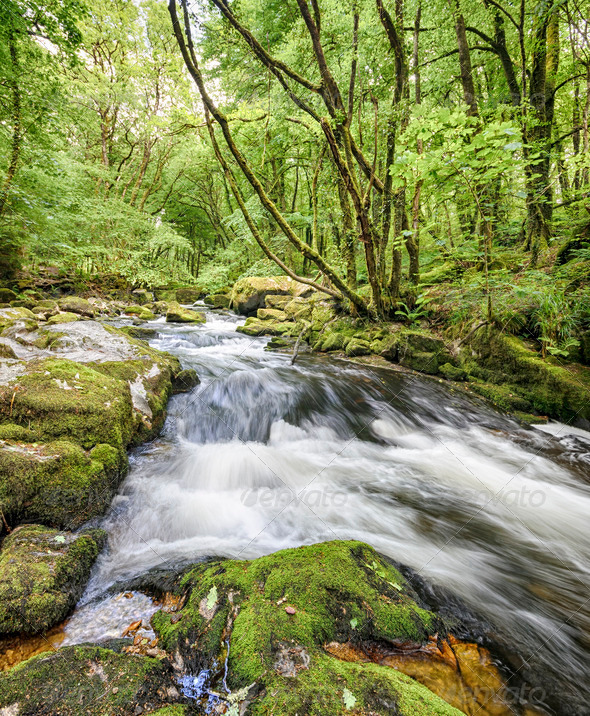 Golitha Falls in Cornwall Stock Photo by flotsom | PhotoDune