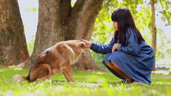 child playing with dog in the park