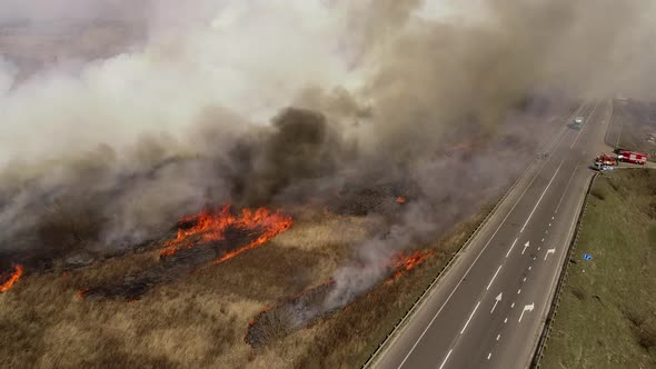 Massive Fire, Dry Grass Lanes in Fire, Firefighters at Work, Disaster, Ecological Catastrophe