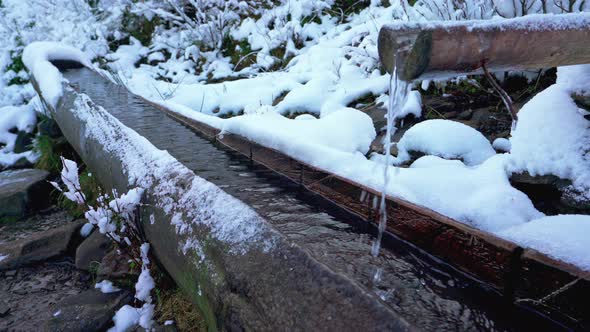 Small Spring with Clean Transparent Water Among the Forest in the Carpathian Mountains alt