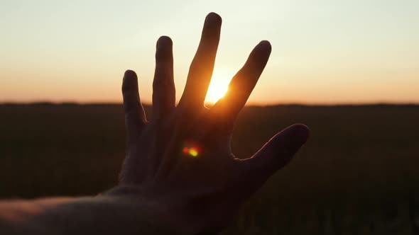 Male Hand Closeup at Sunset